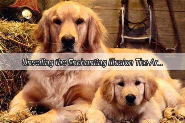 Unveiling the Enchanting Illusion The Art of Recall Dog Tricks